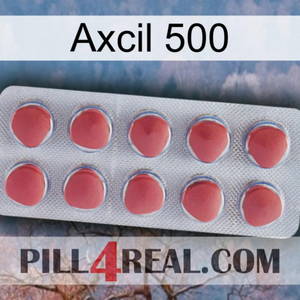 Axcil 500 18.jpg